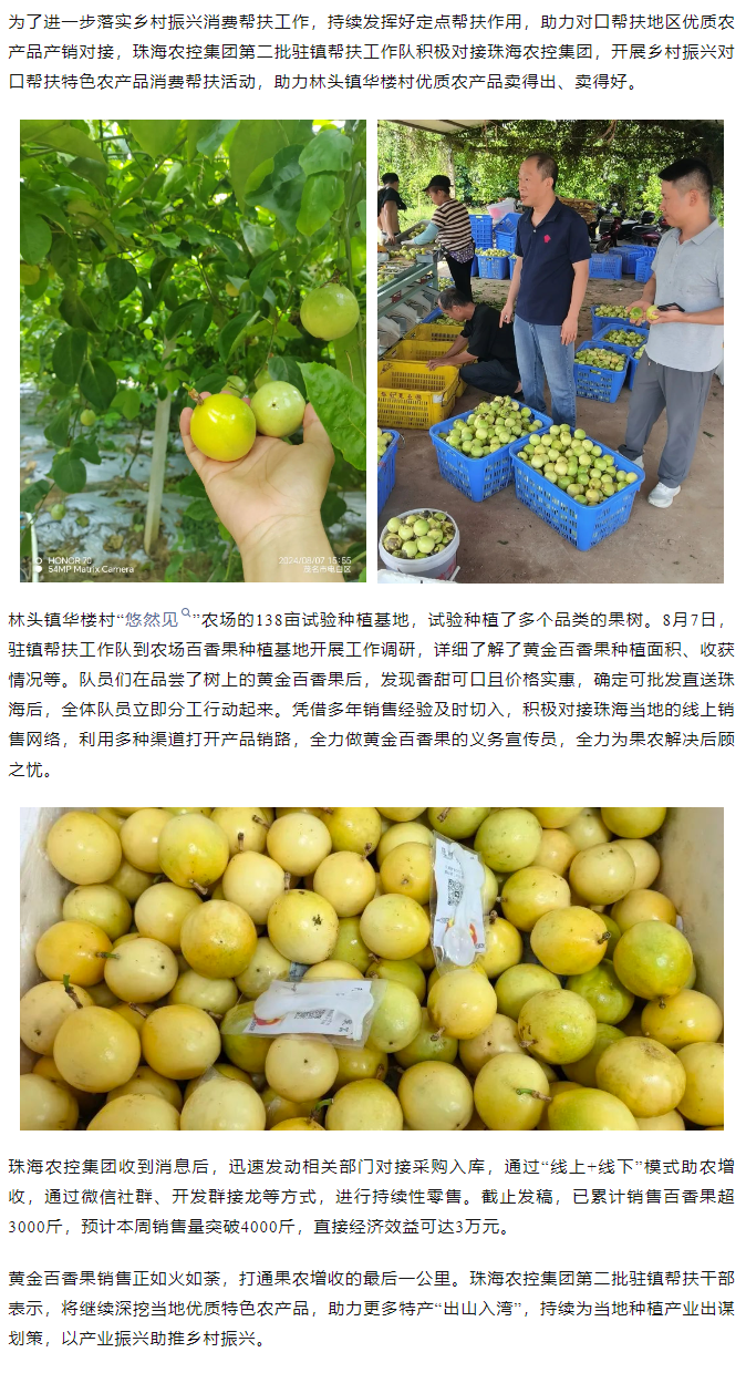 乐竞lejing(中国)集团助力产销对接 对口帮扶果香飘百里.png